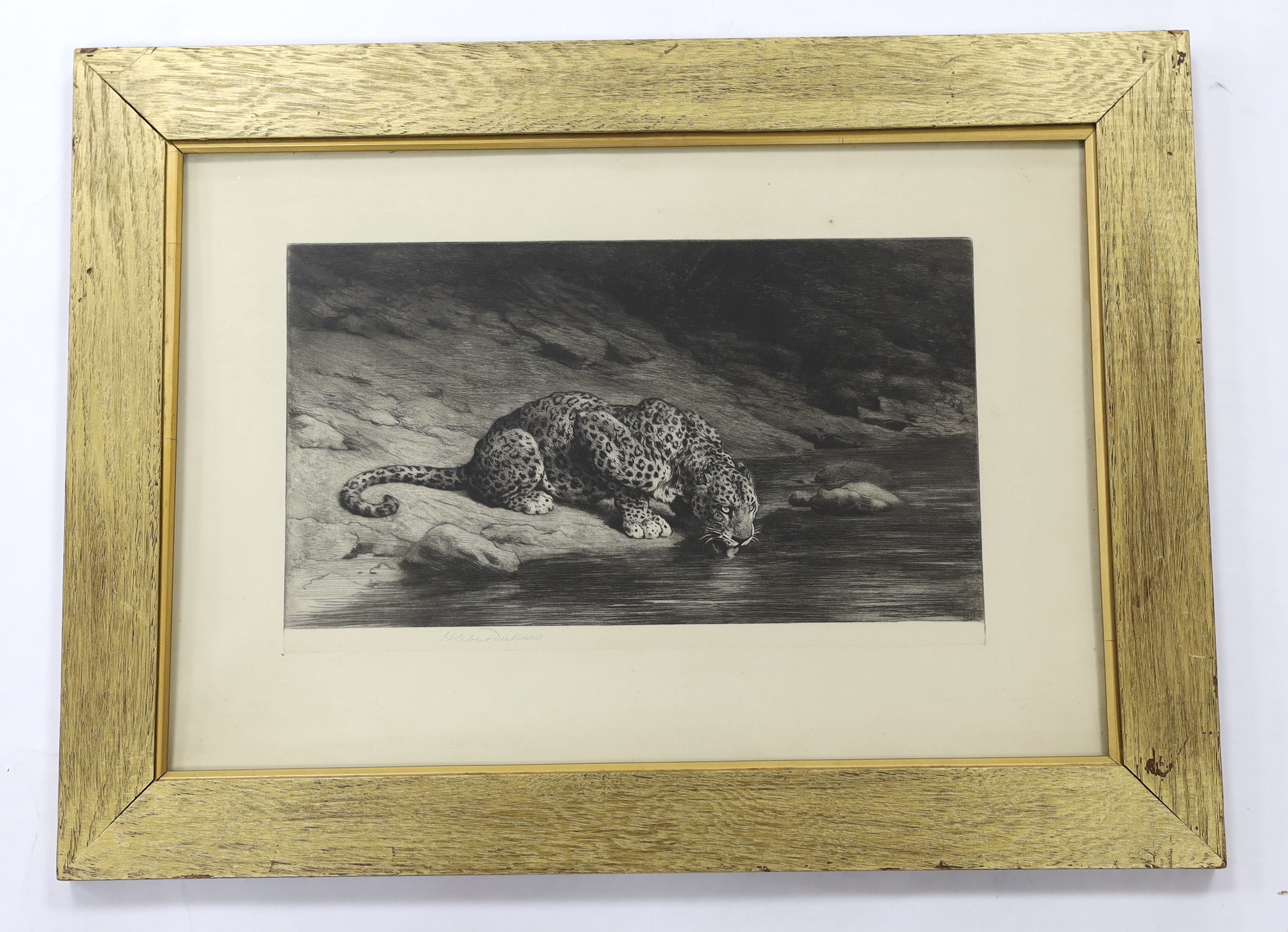 Herbert Dicksee (1862-1942), etching, Leopard Drinking, pencil signed, 31 x 46cm